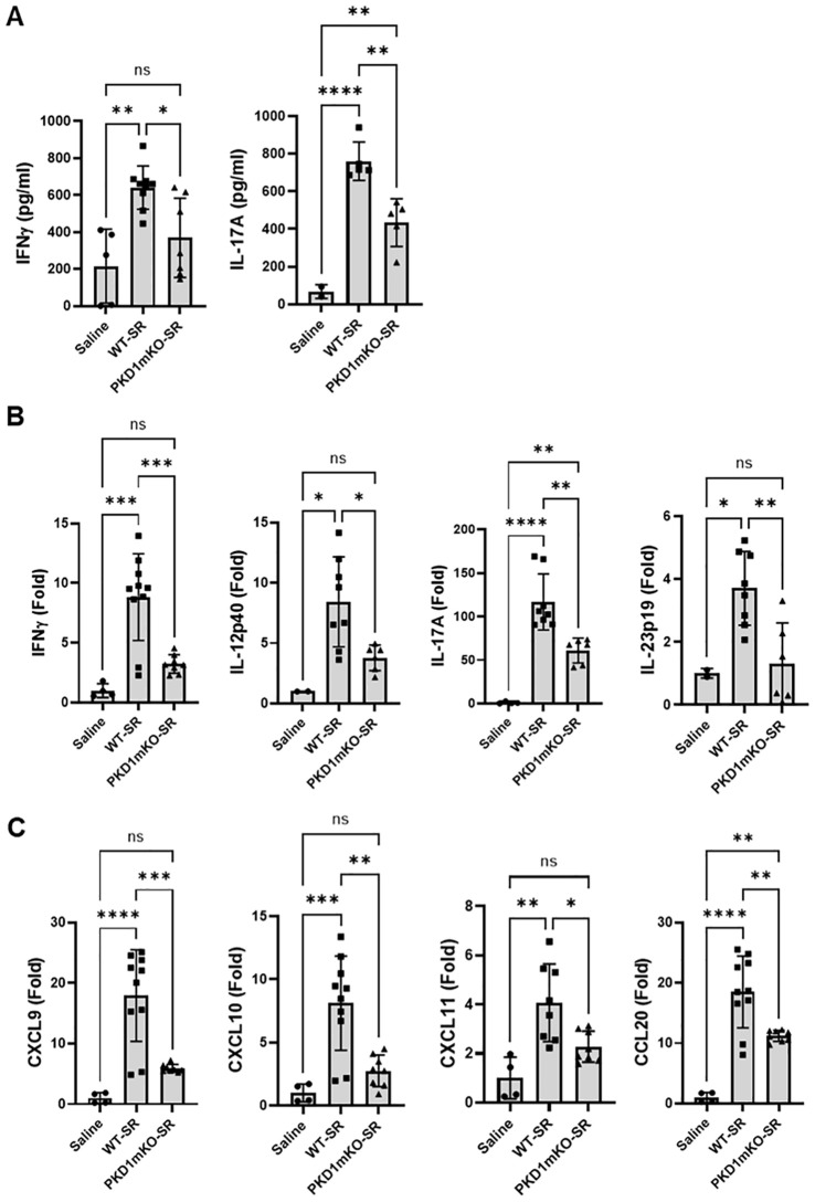 Figure 7