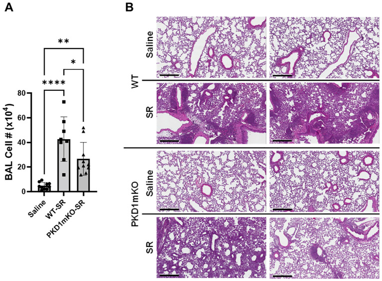 Figure 5