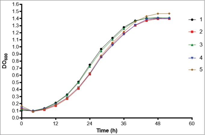 Figure 5.