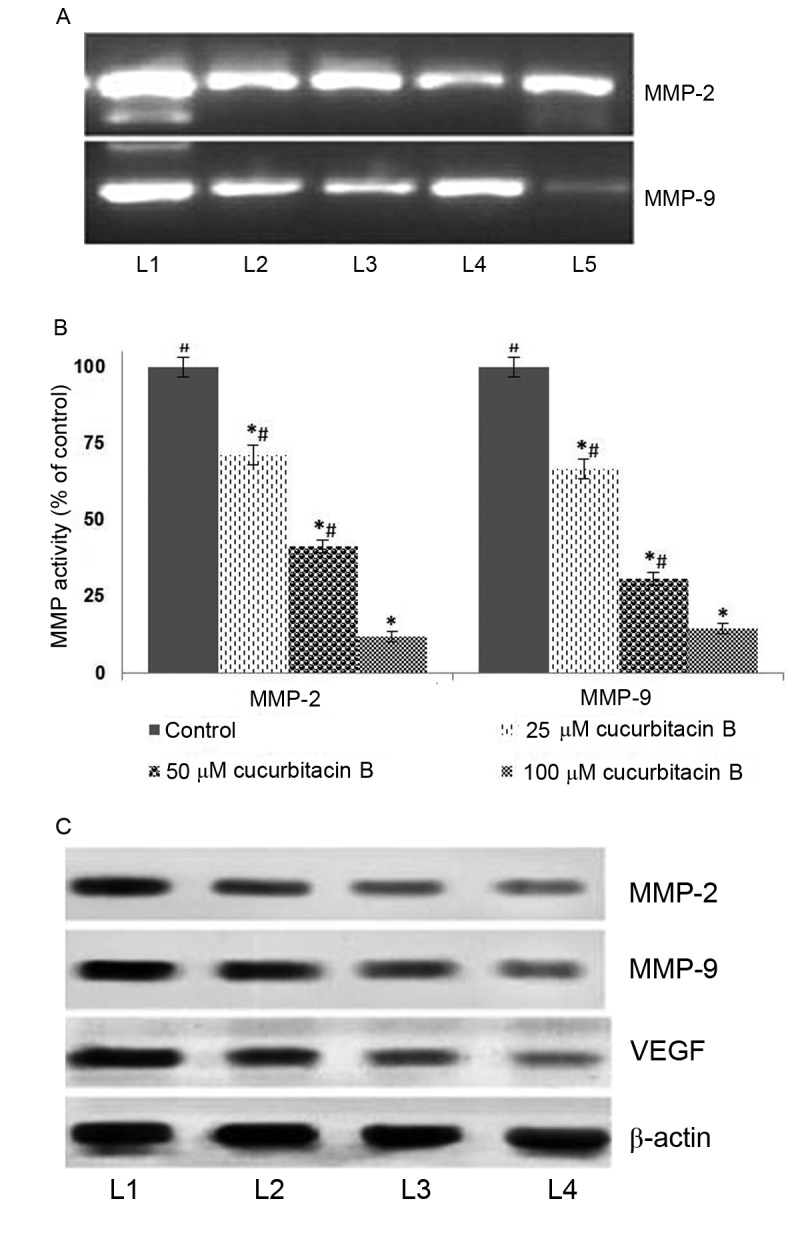 Figure 5.