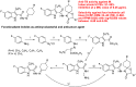 Figure 37