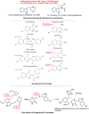 Figure 18