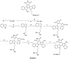 Figure 22