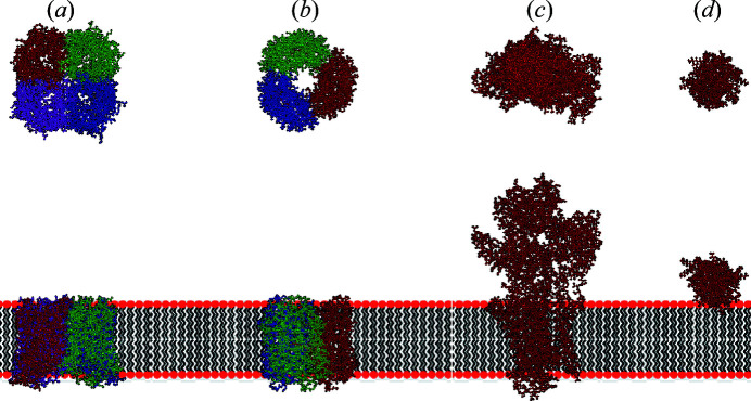 Figure 6