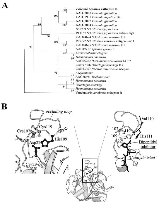 FIG. 2.