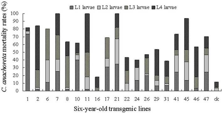 Figure 7