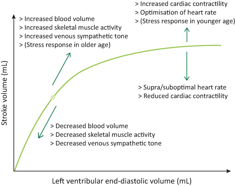 Fig 2.