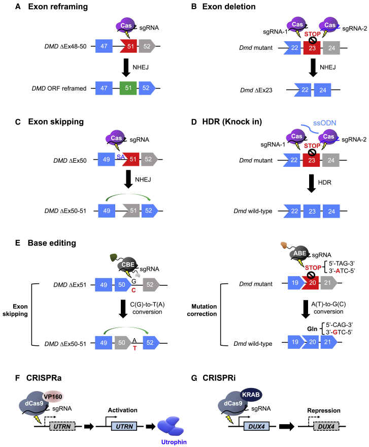 Figure 2