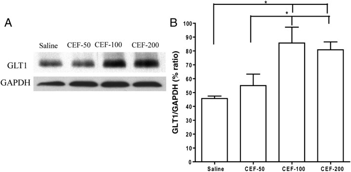 Fig. 6.