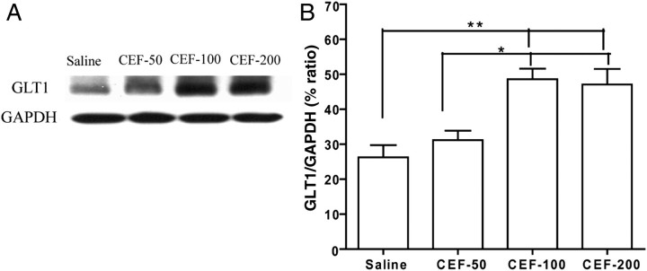 Fig. 5.