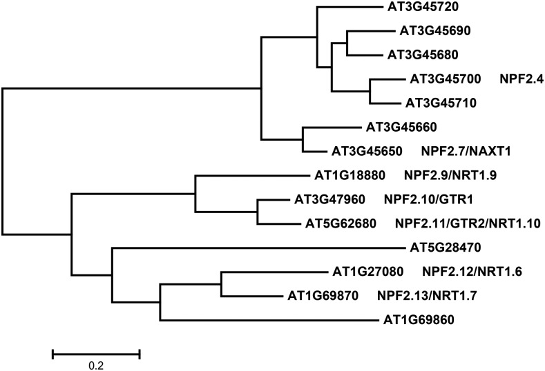 Figure 1.