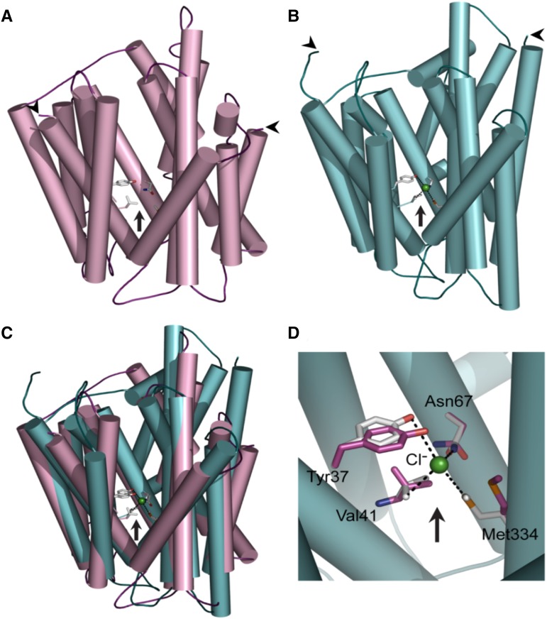 Figure 2.