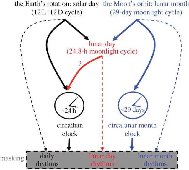 Figure 1.