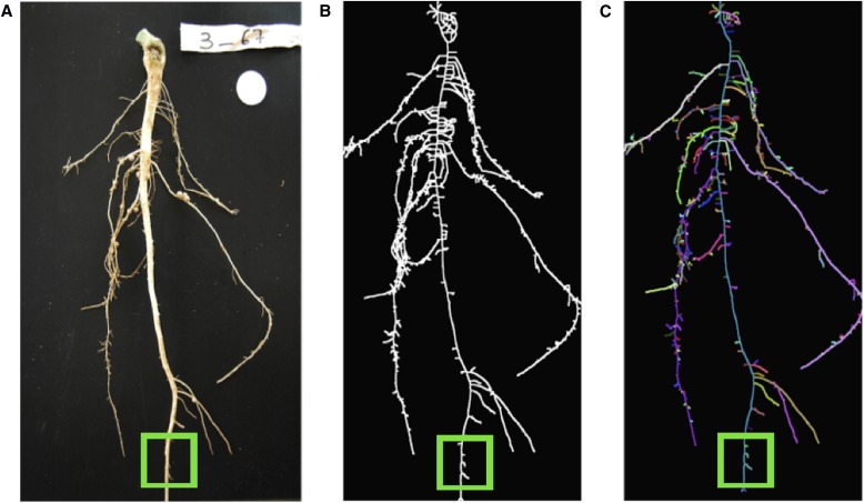 Fig. 8.