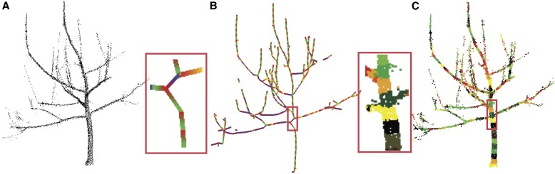 Fig. 7.