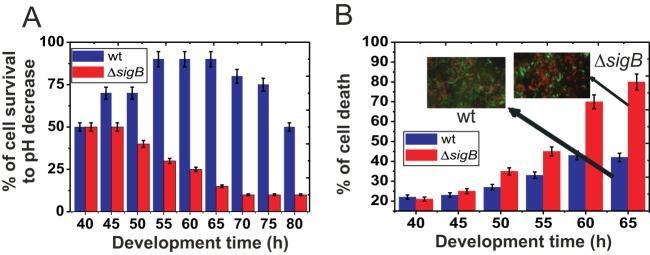 FIG 3