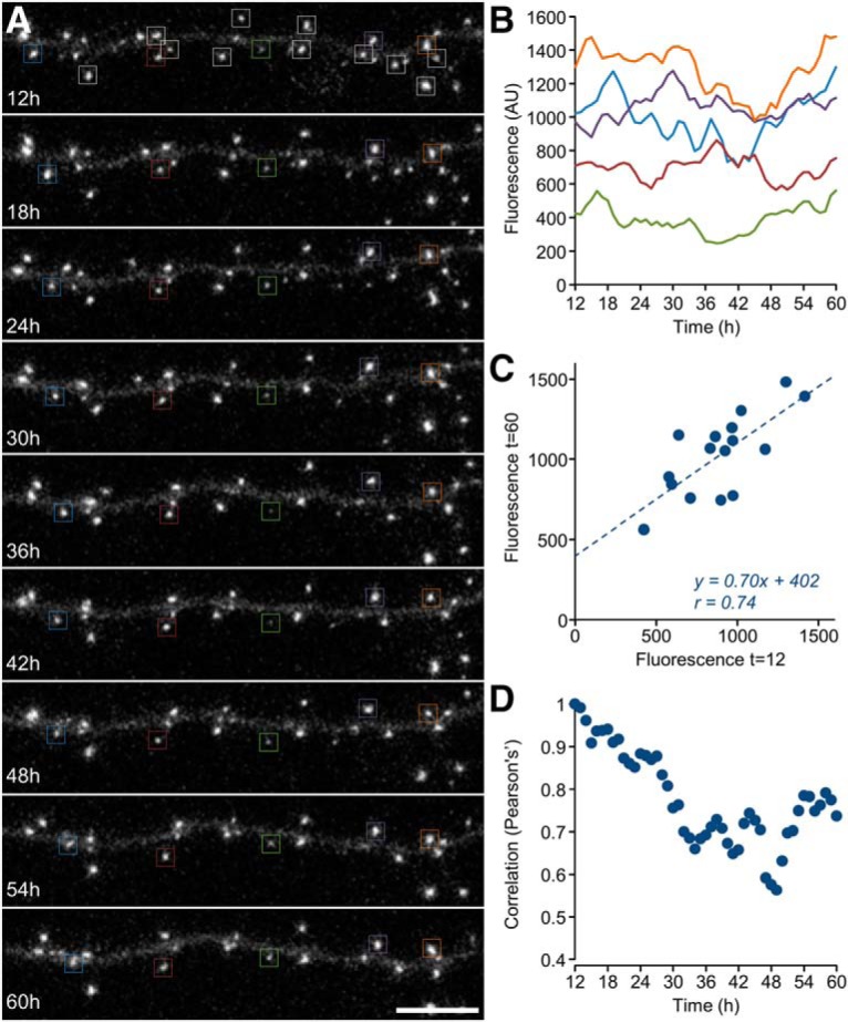 Figure 3.