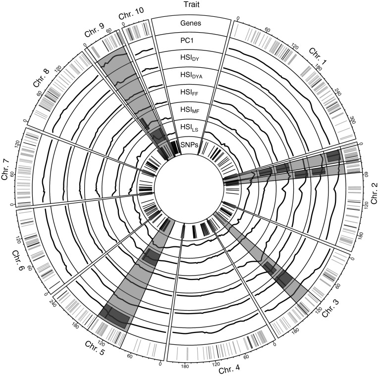 Fig. 6