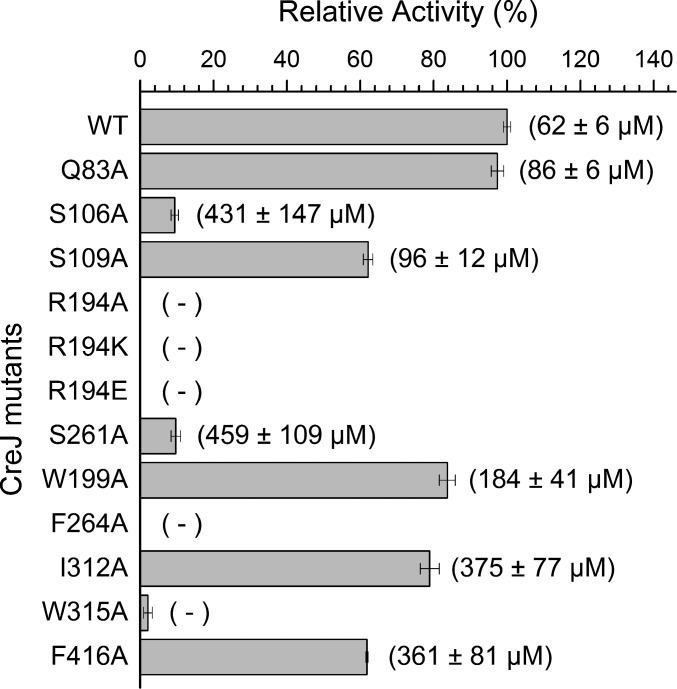 Fig. 4.