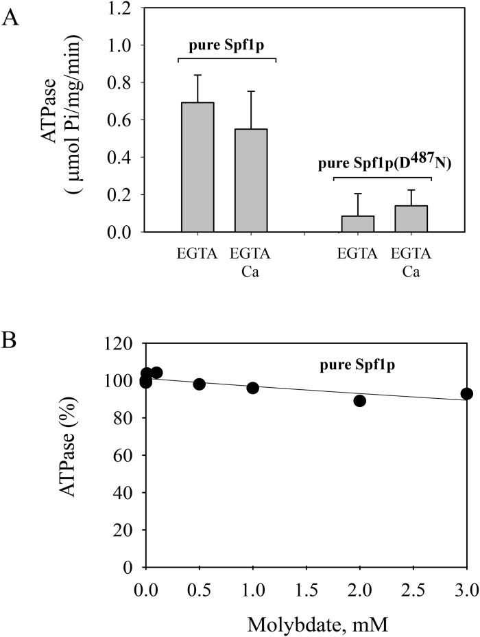 Fig 5