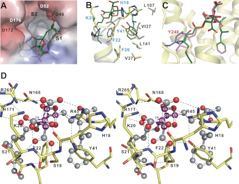 FIGURE 4.