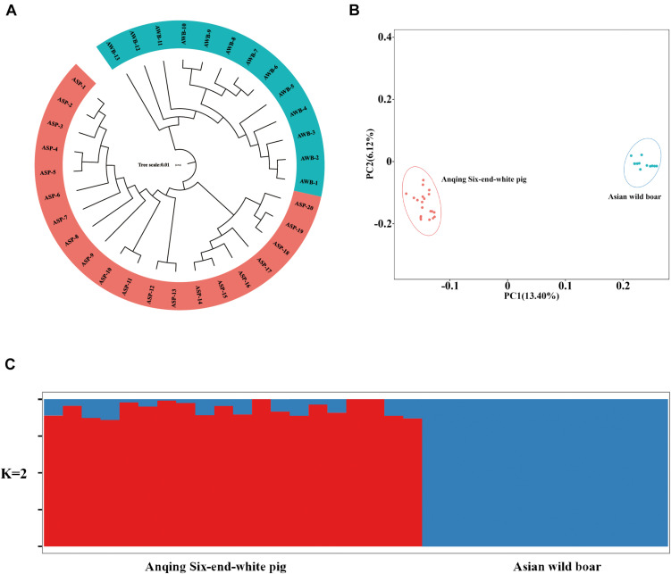 FIGURE 2