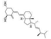 graphic file with name pathogens-10-01540-i005.jpg