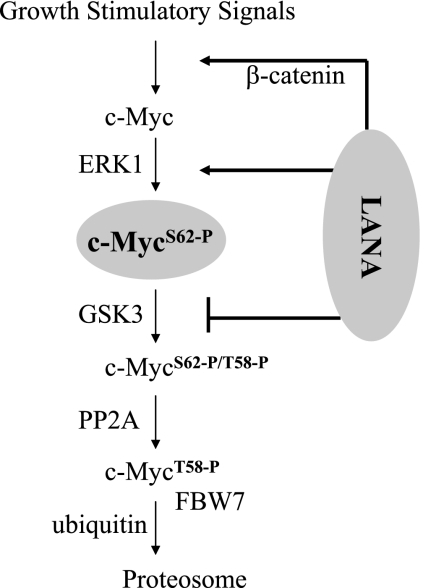 FIG. 7.