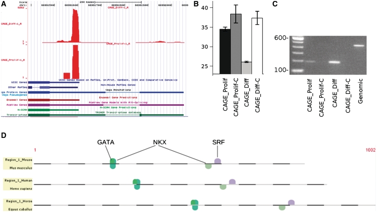 Figure 4.