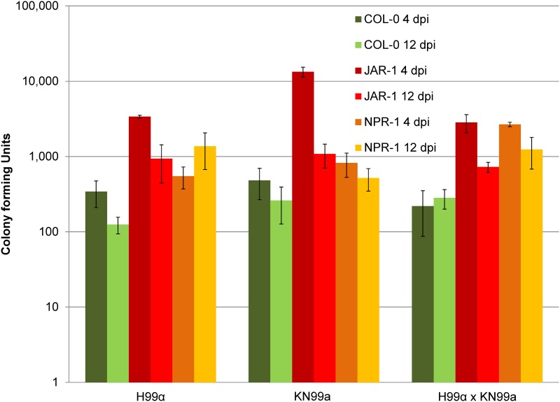 Fig 2