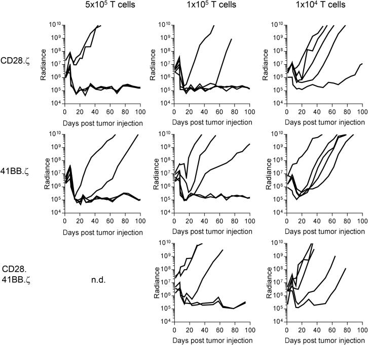 Figure 5