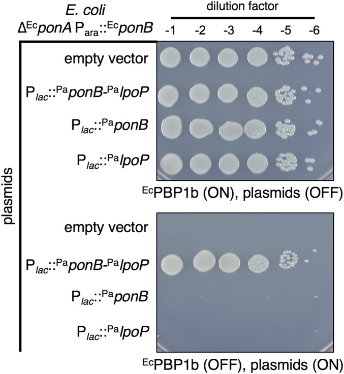 Fig. 3.