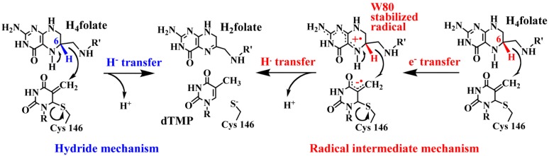 Scheme 3