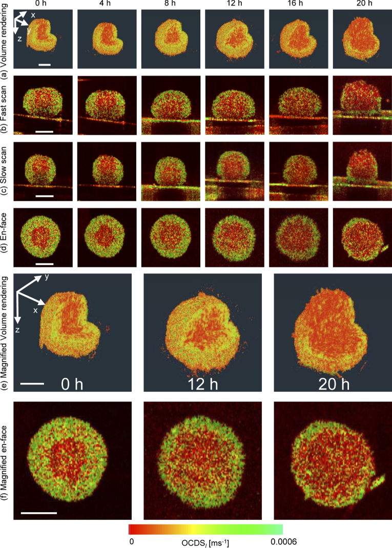 Fig. 4.