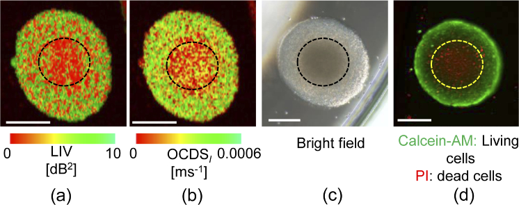 Fig. 10.