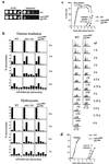 FIG. 6