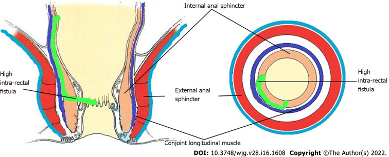Figure 8