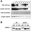 Figure  2