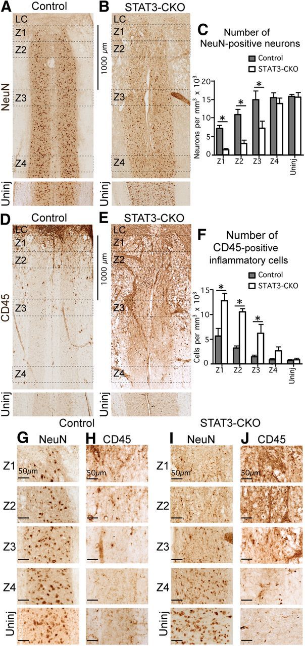 Figure 12.