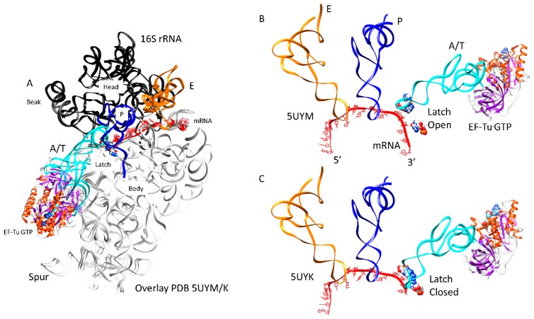 Figure 5