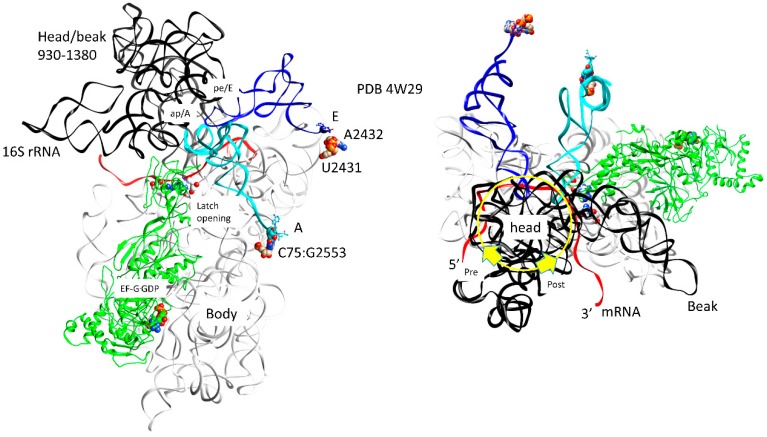 Figure 9