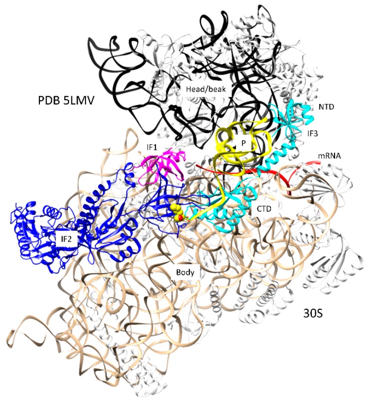 Figure 2