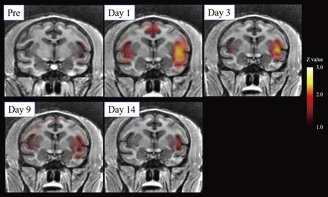 Figure 5.