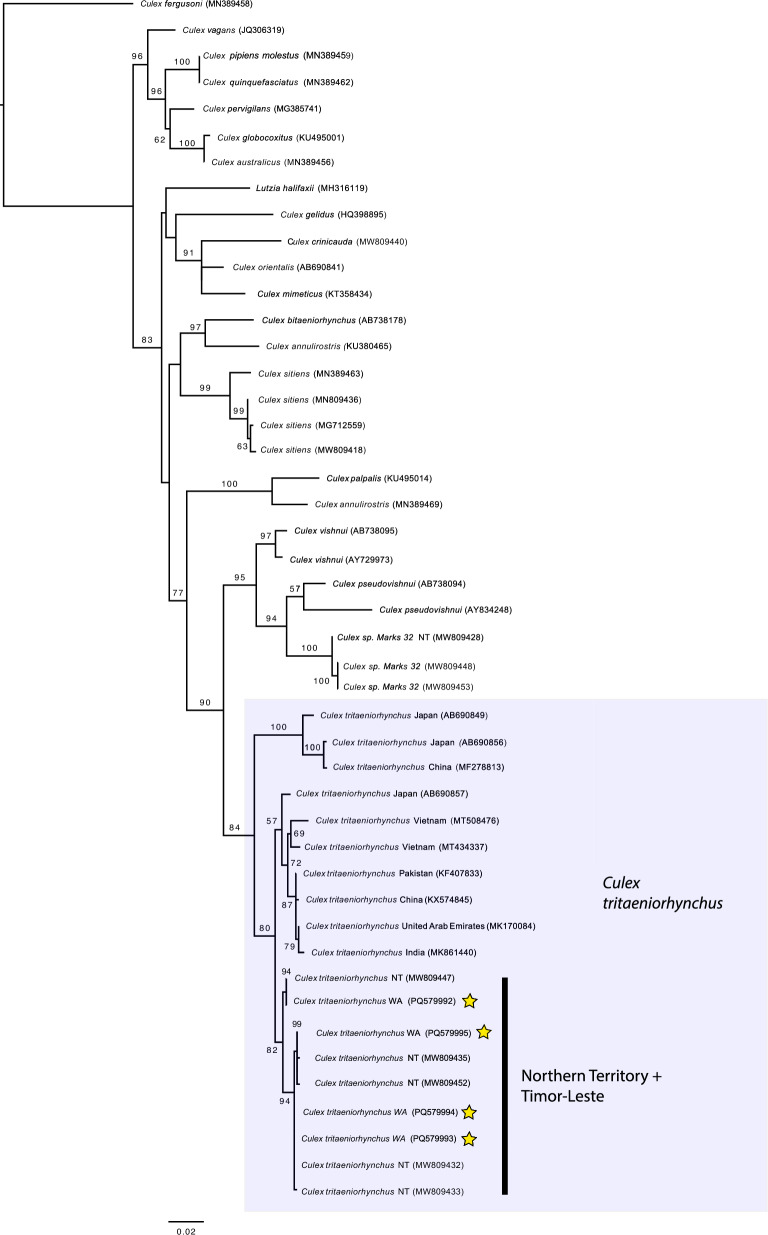 Fig. 3