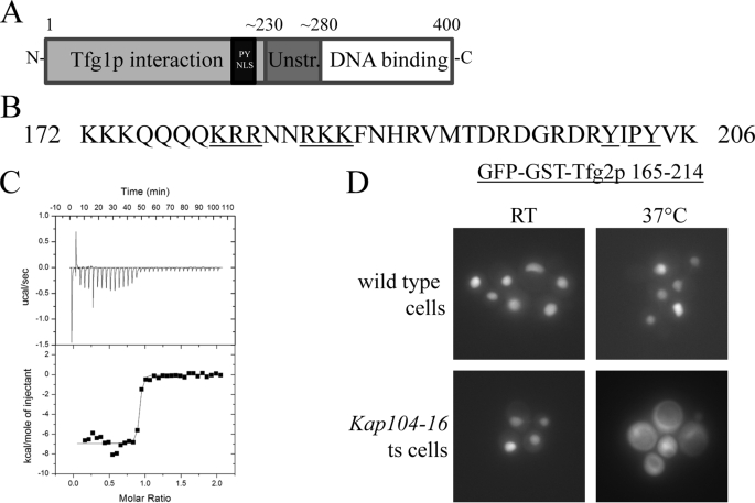 FIGURE 1.