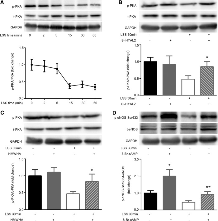 FIGURE 5: