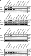 FIG 2