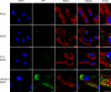 FIG 6