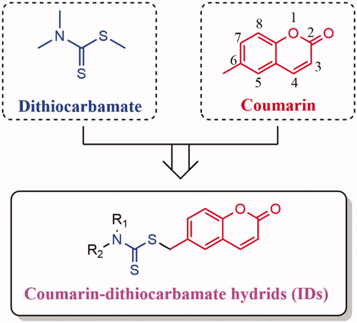 Figure 2.