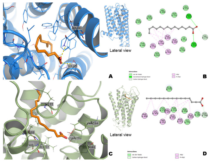 Figure 11